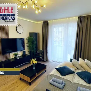 Little Americas Ring Daire
